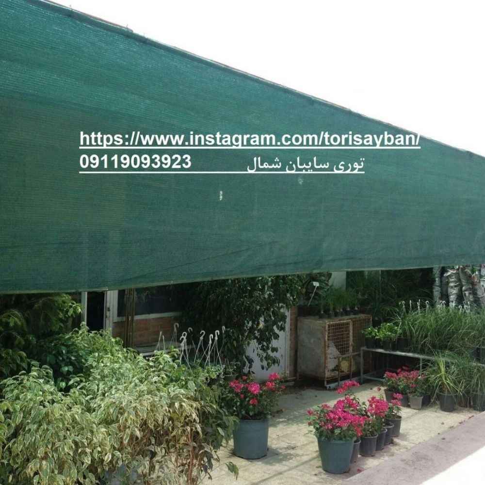 1739341146898.webp