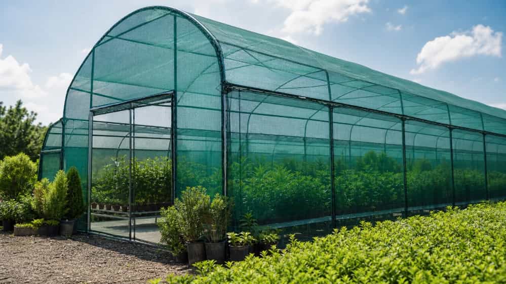 The price of canopy net suitable for the greenhouse with the best quality
