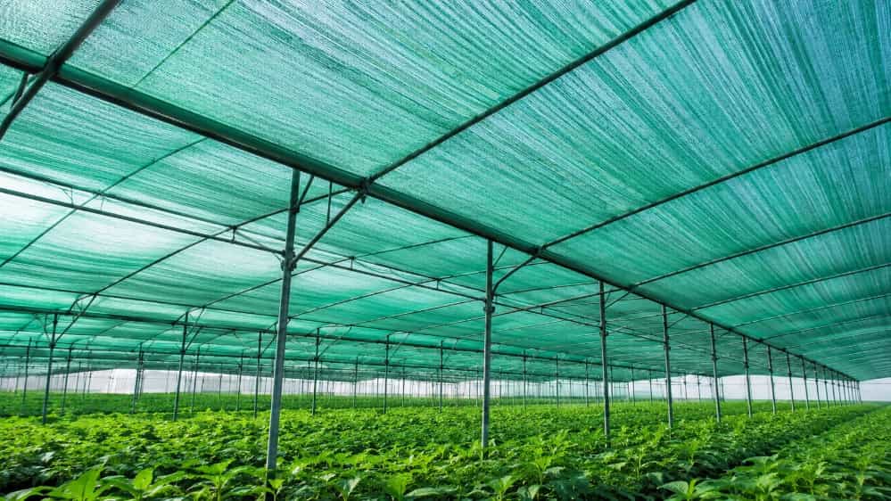 Buy canopy netting at a reasonable price and the best quality