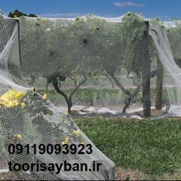 1739340945905.webp