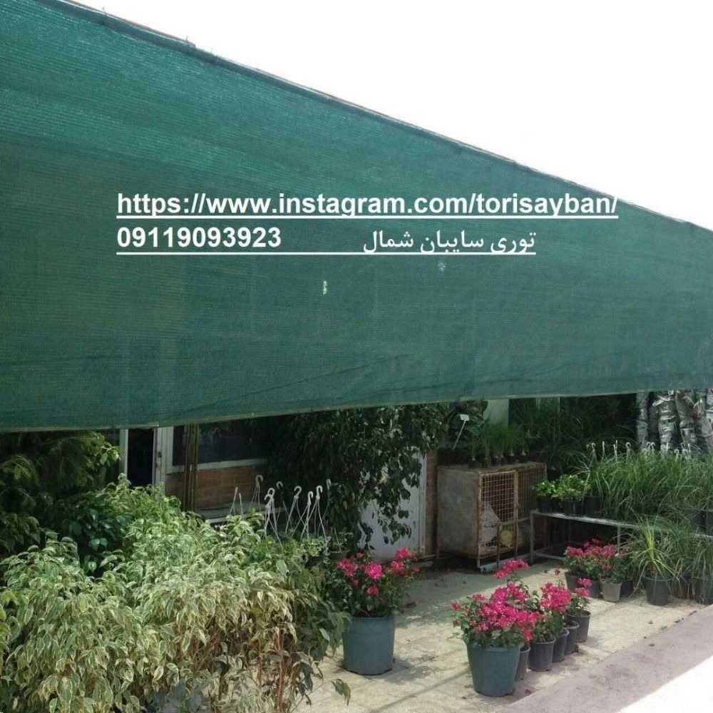 1739341146898.webp