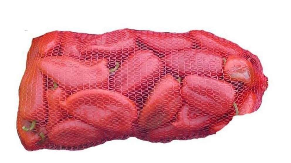 راشل توری سایبان شمال