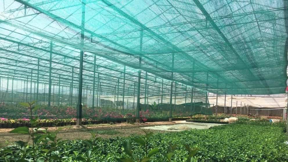The most important fields of application of canopy mesh (greenhouse shade) The most important fields of application of canopy mesh (greenhouse shade)