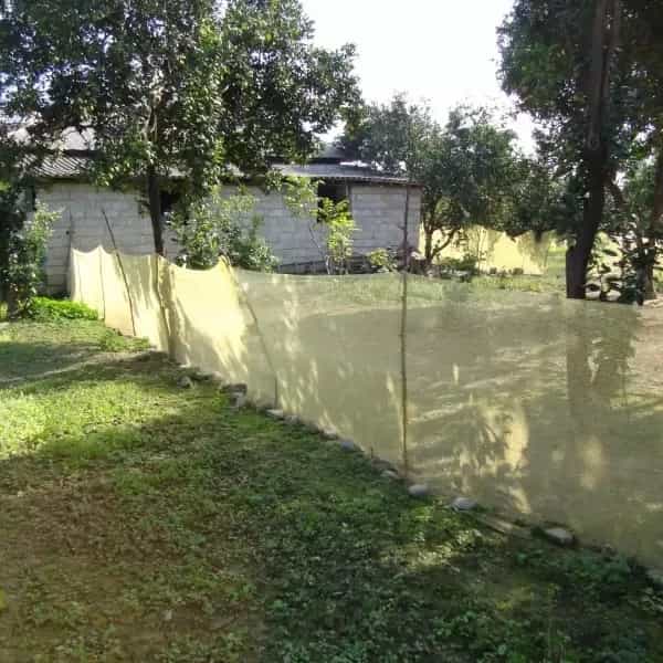 1710656945183.webp
