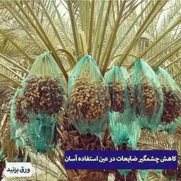 1710657868722.webp