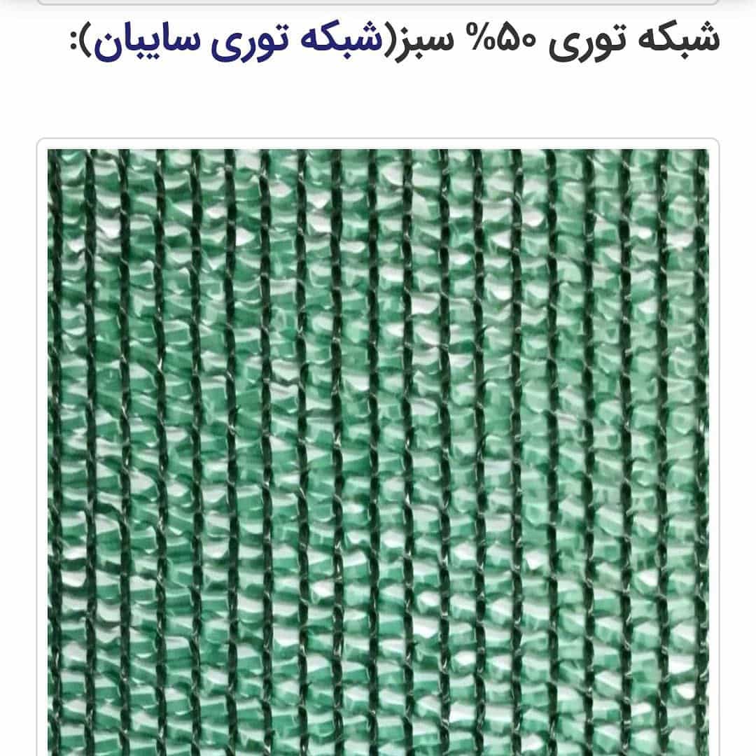 1739095707656.webp